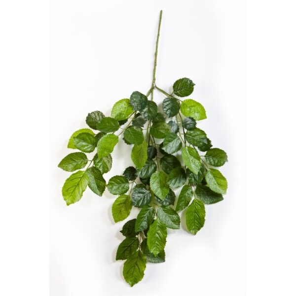 BEECH SPRAY X 59 LVS - 60CM