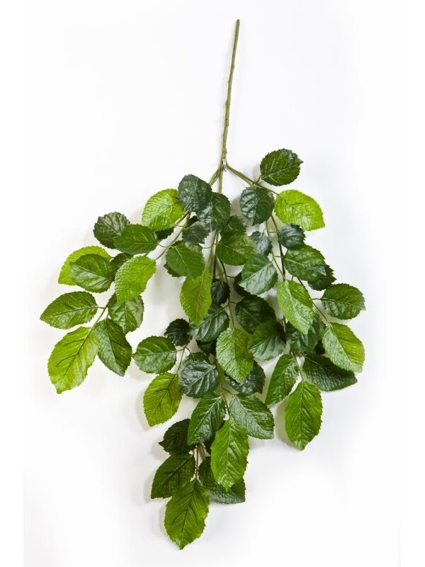 BEECH SPRAY X 59 LVS - 60CM