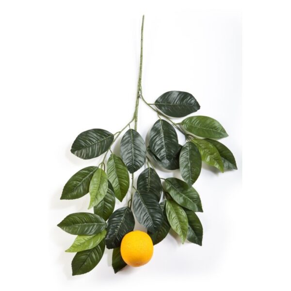 ORANGE SPRAY WITH LARGE FRU