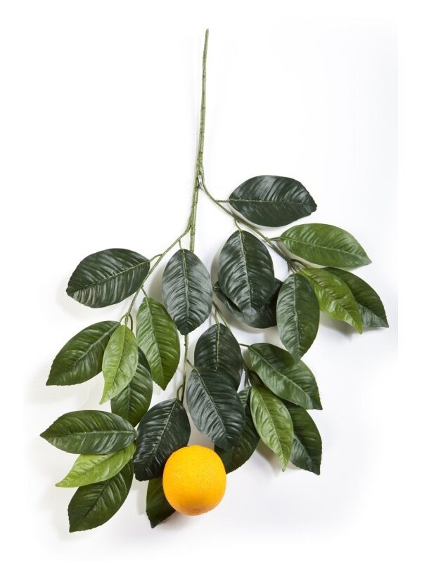 ORANGE SPRAY WITH LARGE FRU