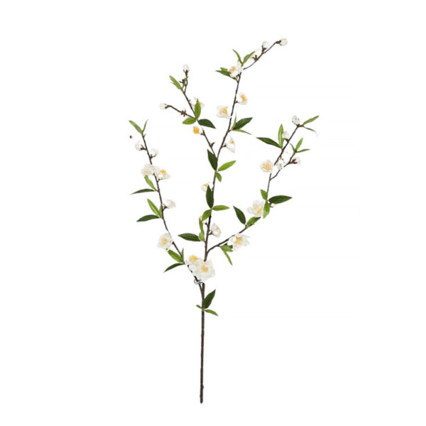 CHERRY BLOSSOM SPRAY CREMA - 64CM
