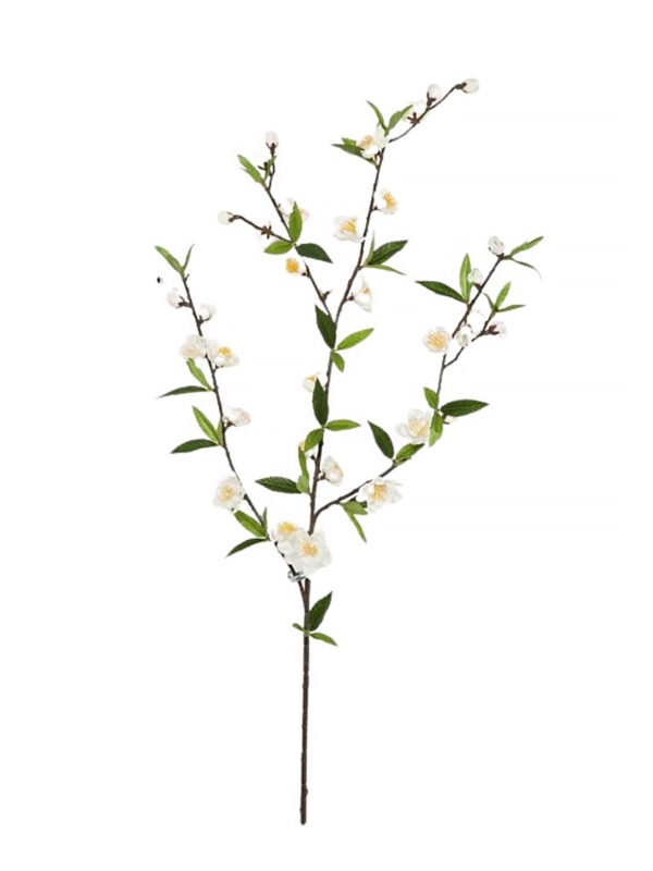CHERRY BLOSSOM SPRAY CREMA - 64CM