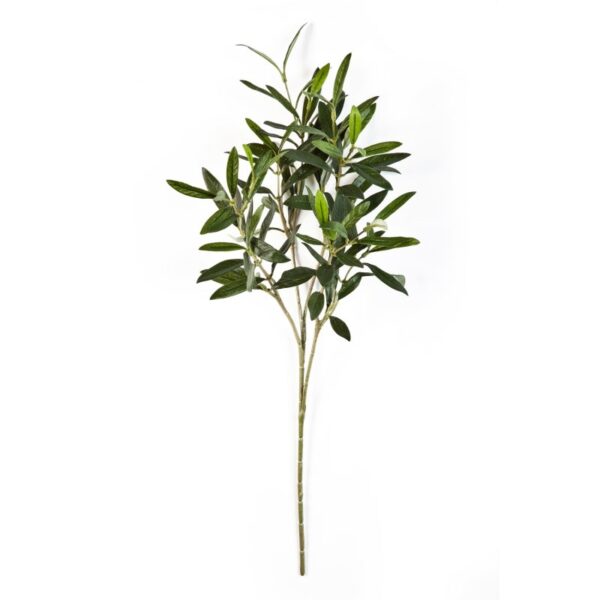 OLIVE NATURAL SPRAY - 50CM
