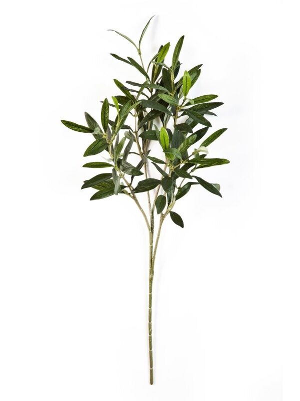 OLIVE NATURAL SPRAY - 50CM