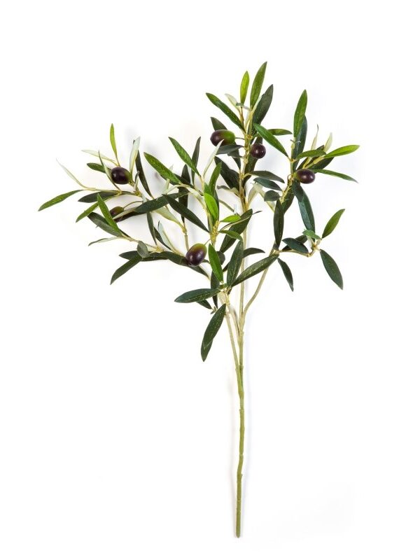OLIVE NATURAL SPRAY W/FRUIT - 50CM