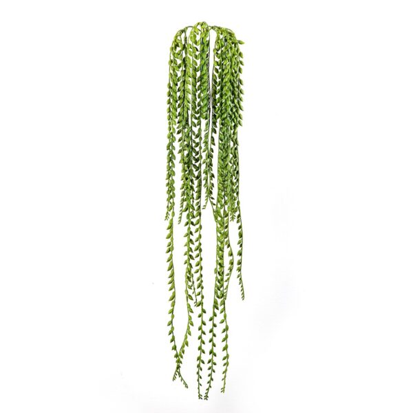 SENECIO SOSPESA CESPUGLIO - 1132CM FIRE RESISTANT