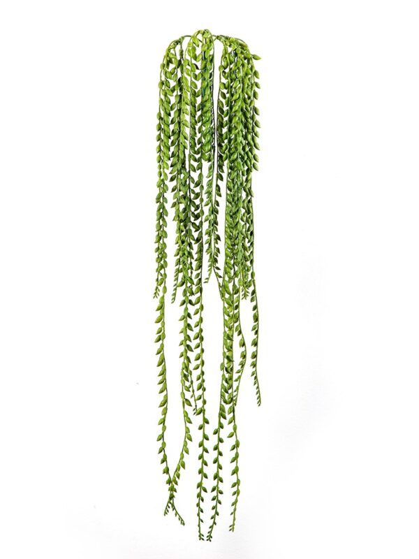 SENECIO SOSPESA CESPUGLIO - 1132CM FIRE RESISTANT