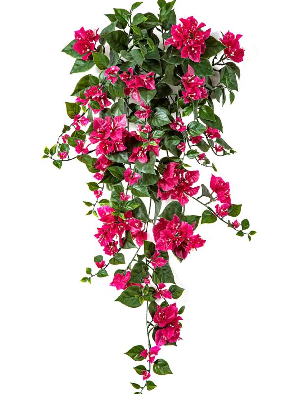 BOUGAINVILLEA FUCHSIA - 100CM UV RESISTENTE