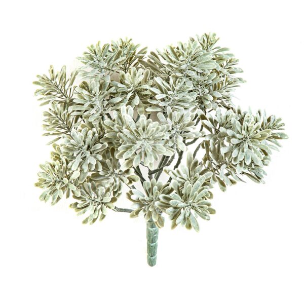 SILVER DUSTY MILLER UV - 22CM UV RESISTENTE