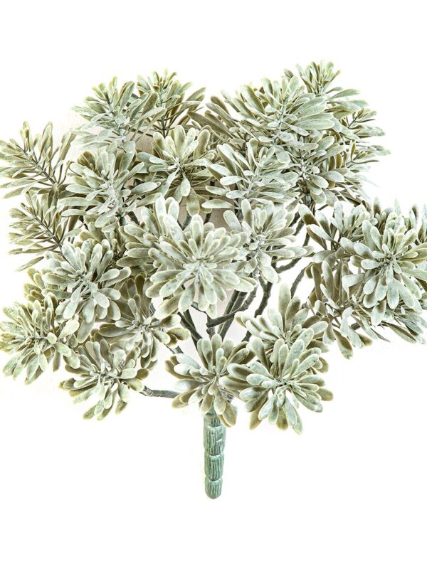 SILVER DUSTY MILLER UV - 22CM UV RESISTENTE
