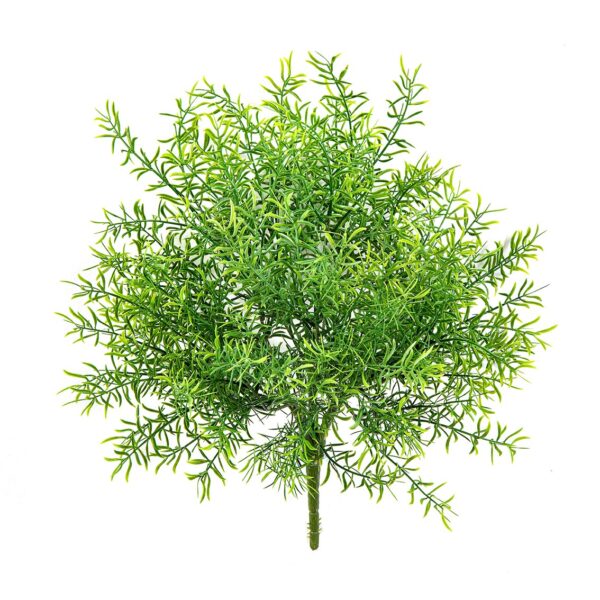 ASPARAGUS CESPUGLIO - 38CM UV RESISTENTE