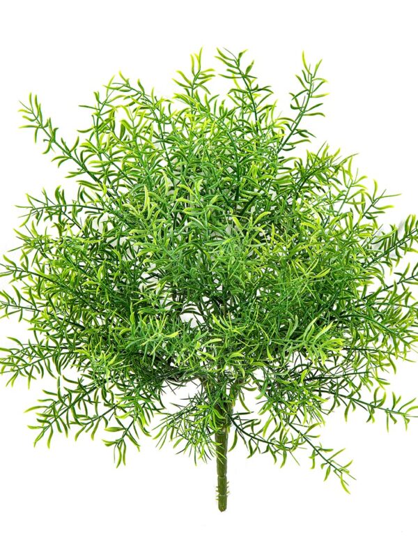 ASPARAGUS CESPUGLIO - 38CM UV RESISTENTE