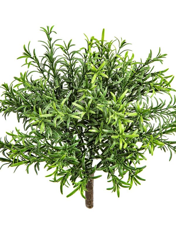 ROSEMARY CESPUGLIO - 32CM UV RESISTENTE
