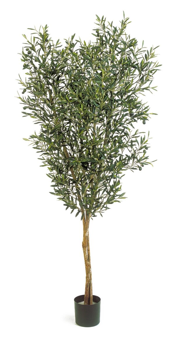 OLIVE NATURAL TREE W/F - 120CM