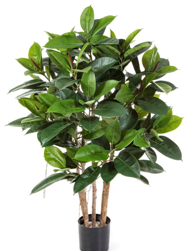 RUBBER PIANTA - 120CM