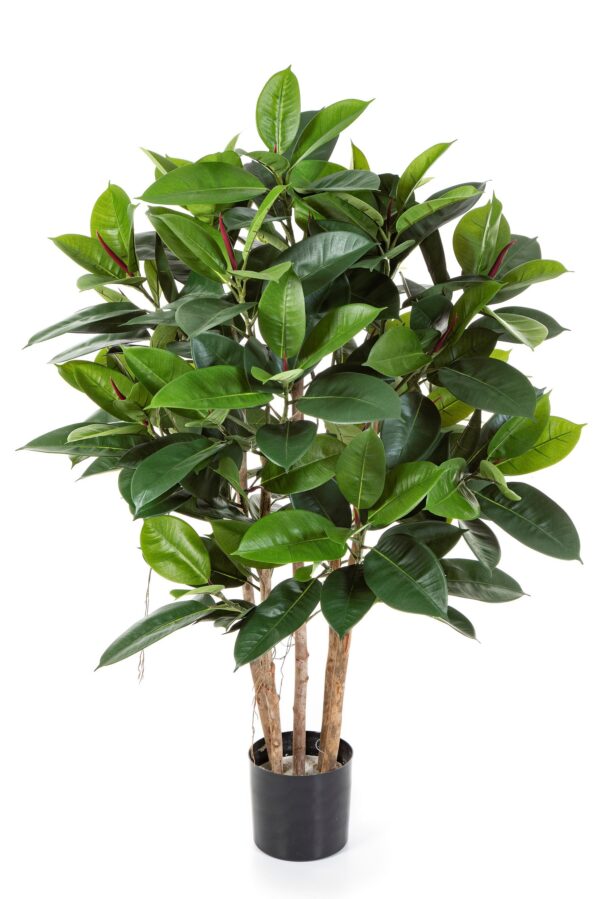 RUBBER PIANTA - 120CM