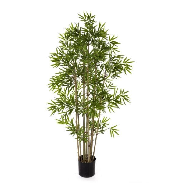 BAMBOO JAPANESE - 170CM