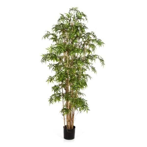 BAMBOO NEW JAPANESE - 140CM