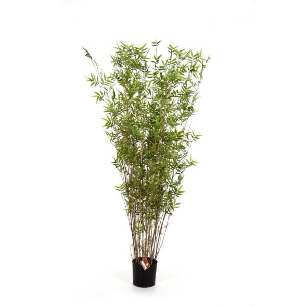 BAMBOO ORIENTAL TREE - 100CM