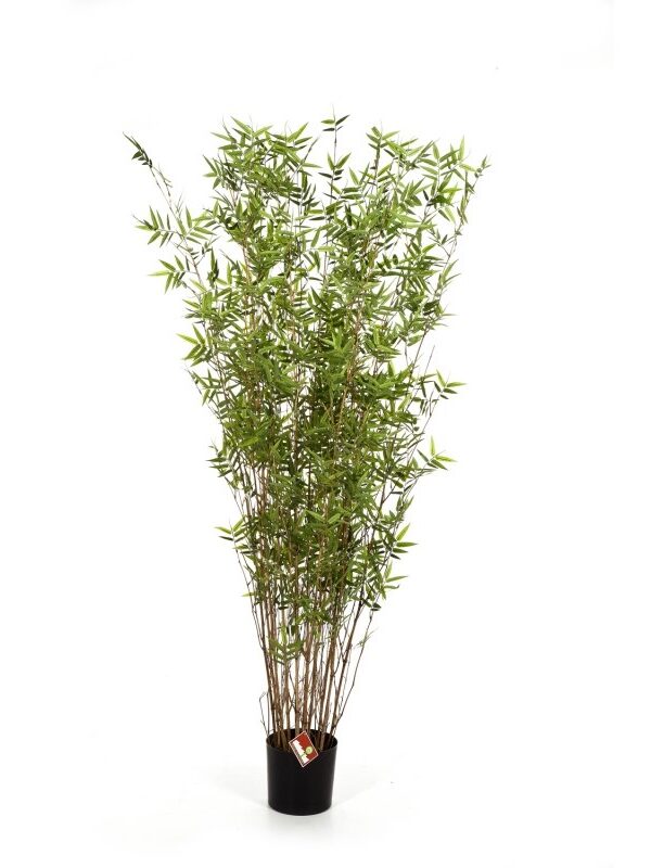 BAMBOO ORIENTAL TREE - 70CM