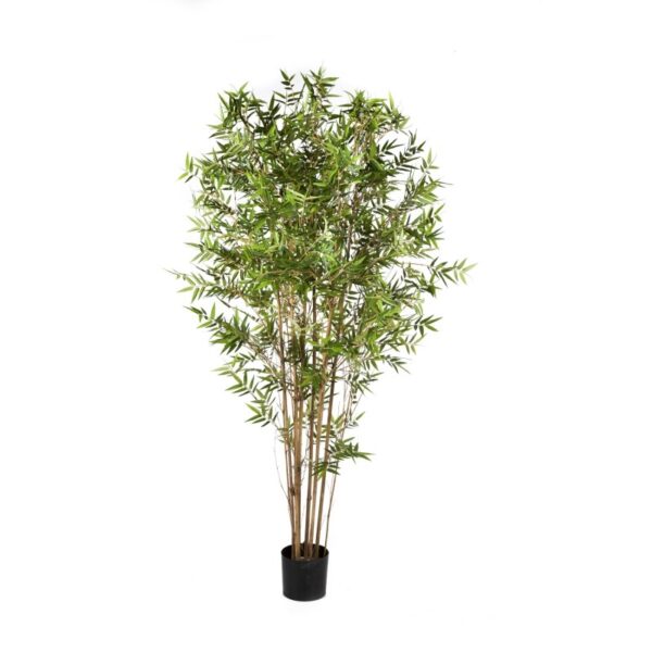 BAMBOO ORIENTAL JAPANESE - 180CM