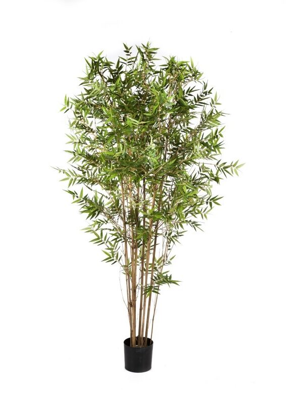 BAMBOO ORIENTAL JAPANESE - 90CM