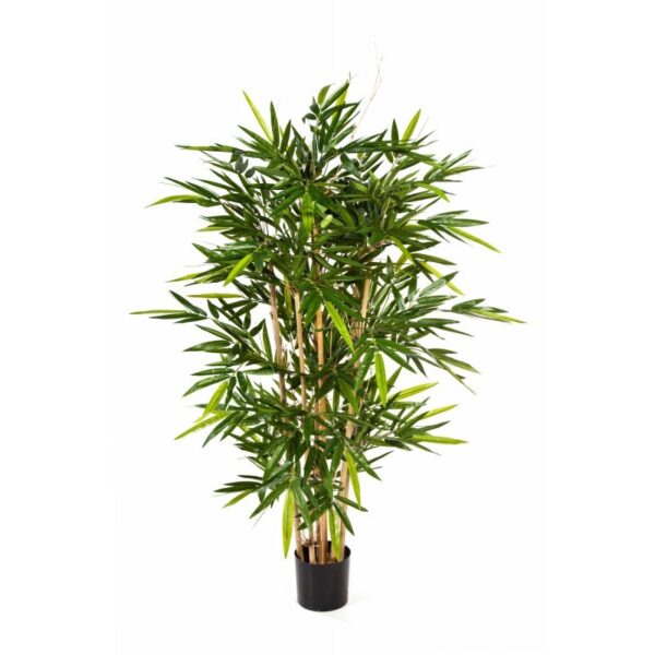 BAMBOO NEW TREE - 210CM
