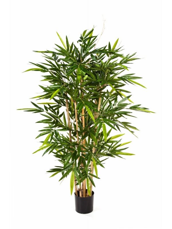 BAMBOO NEW TREE - 832CM FIRE RESISTANT