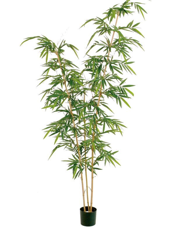 BAMBOO NEW ELEGANT TREE - 260CM