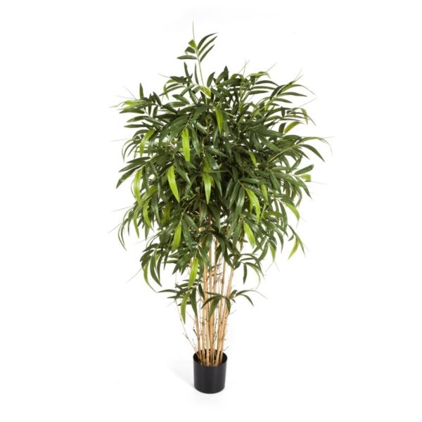 BAMBOO NEW NATURAL TREE - 180CM