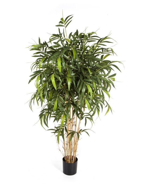 BAMBOO NEW NATURAL TREE - 150CM