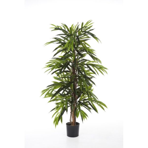 LONGIFOLIA DELUXE TRE - 746CM FIRE RESISTANT
