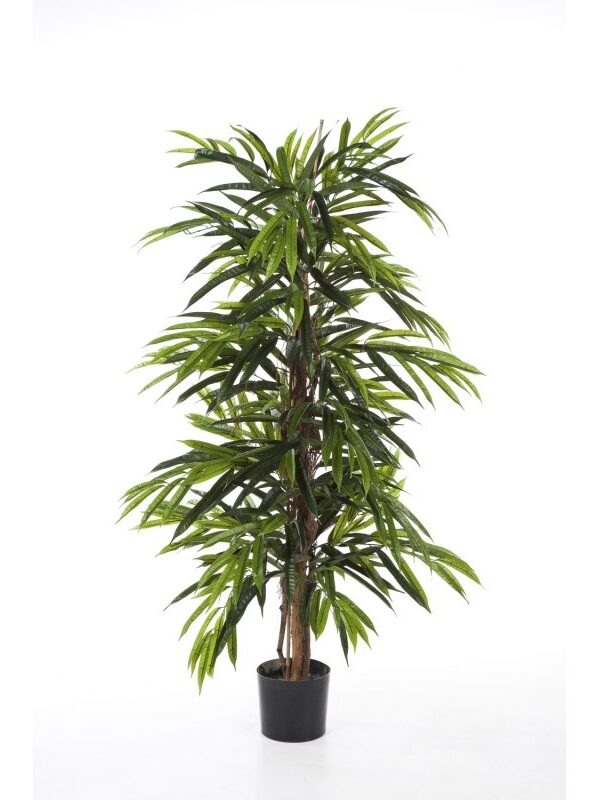 LONGIFOLIA DELUXE TRE - 502CM FIRE RESISTANT