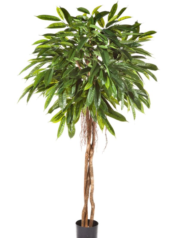 LONGIFOLIA FAT UMBRELLA - 180CM