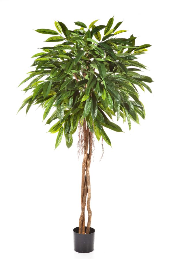 LONGIFOLIA FAT UMBRELLA - 180CM