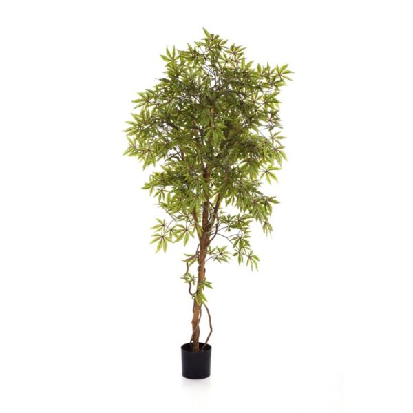 ACERO JAPANESE - 210CM