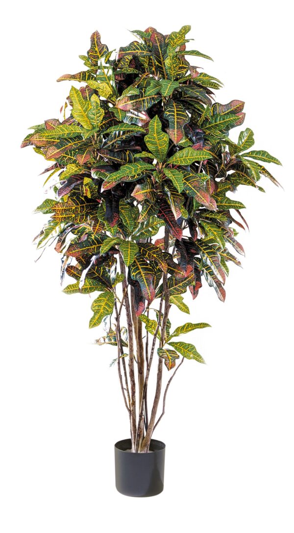 CROTON TREE - 120CM