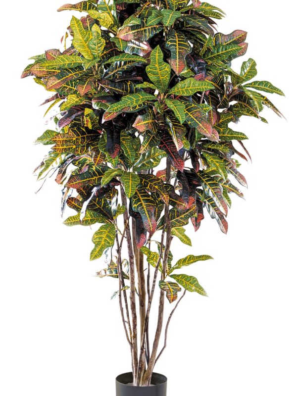 CROTON TREE - 120CM