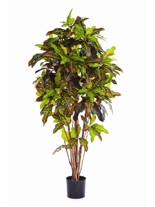 CROTON TREE - 336CM FIRE RESISTANT