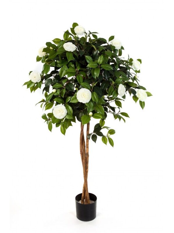 CAMELIA NEW UMBRELLA TRE - 130CM