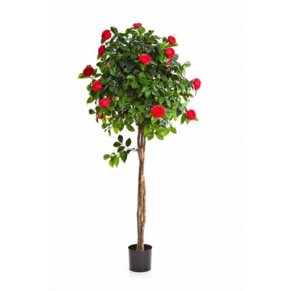 CAMELIA NEW UMBRELLA TRE - 160CM