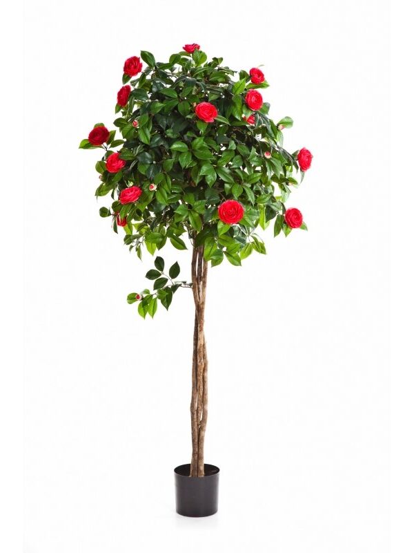CAMELIA NEW UMBRELLA TRE - 160CM