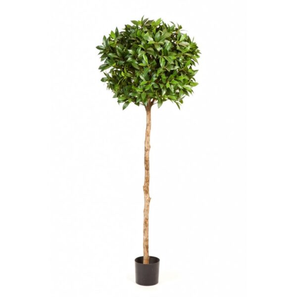 LAUREL BALL TREE DE LUXE - 140CM