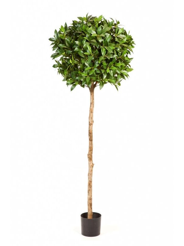 LAUREL BALL TREE DE LUXE - 140CM