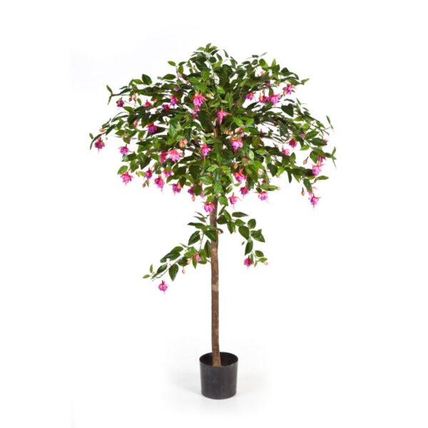 FUCHSIA UMBRELLA TREE - 140CM