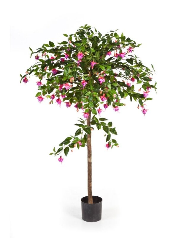 FUCHSIA UMBRELLA TREE - 140CM