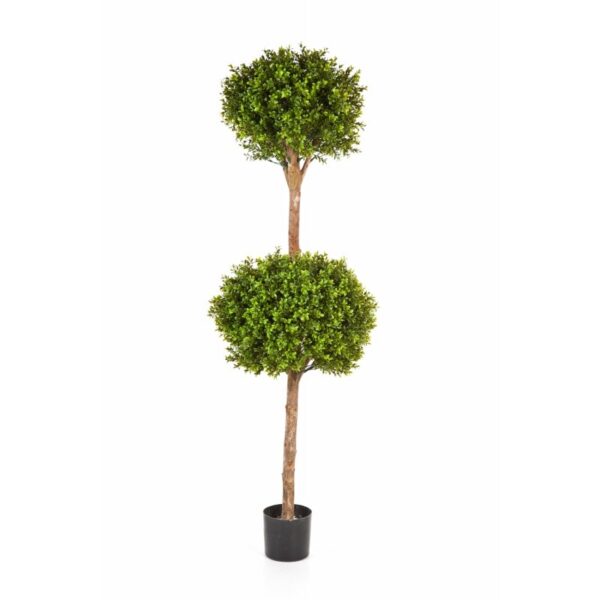 BOXWOOD DOUBLE BALL TREE - 165CM