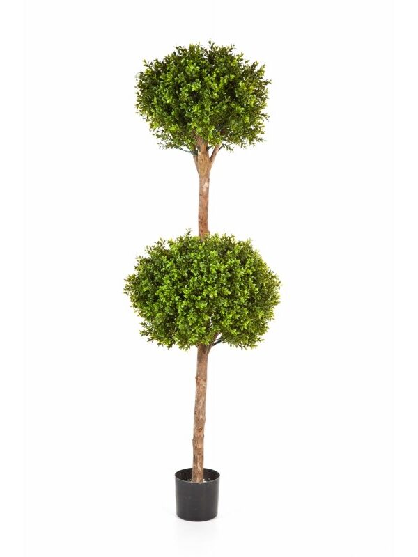 BOXWOOD DOUBLE BALL TREE - 165CM