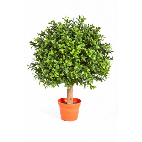 BOXWOOD BALL - 30CM