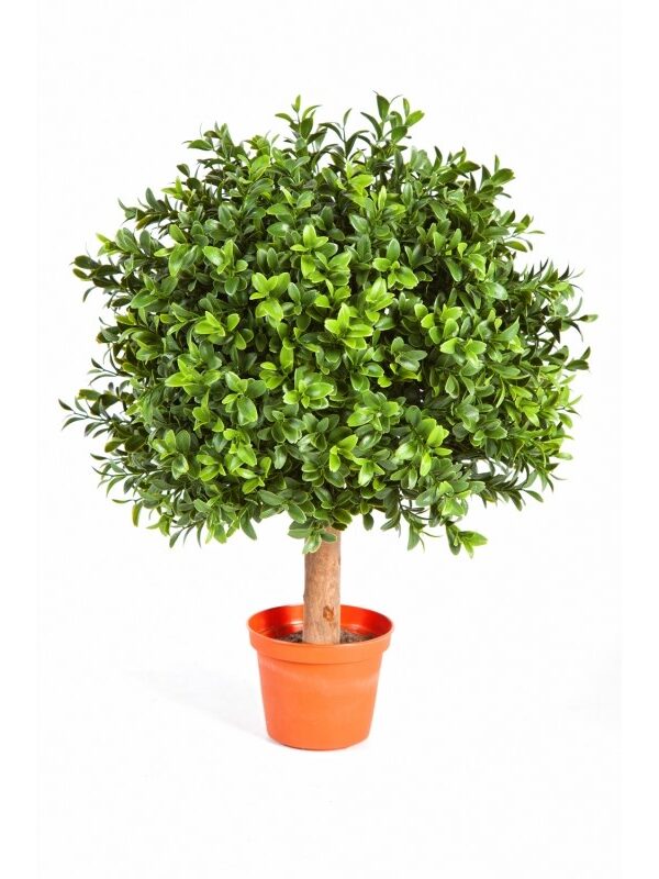 BOXWOOD BALL - 30CM